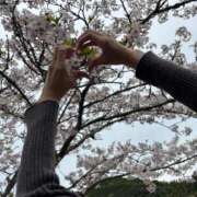 ヒメ日記 2026/04/09 12:22 投稿 紺野 まなか 絢(あや)