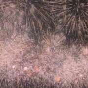 ヒメ日記 2026/03/07 18:31 投稿 いちご MIKADO