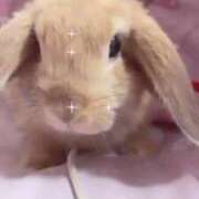 ヒメ日記 2026/03/09 18:51 投稿 いちご MIKADO