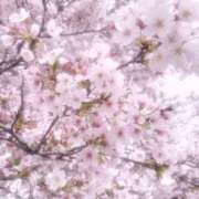 ヒメ日記 2026/04/07 16:21 投稿 いちご MIKADO