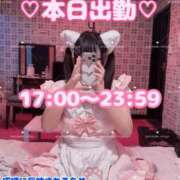 ヒメ日記 2026/04/11 11:47 投稿 いちご MIKADO