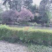 ヒメ日記 2026/04/20 13:22 投稿 いちご MIKADO