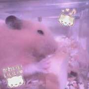 ヒメ日記 2026/04/24 14:31 投稿 いちご MIKADO