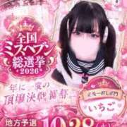 ヒメ日記 2026/09/12 16:31 投稿 いちご MIKADO
