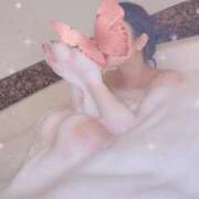 ヒメ日記 2026/04/12 16:03 投稿 らっこ 密着指導！バカンス学園 尼崎校