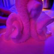 ヒメ日記 2026/01/20 00:58 投稿 ゆり ナンバーゼロハチイチ