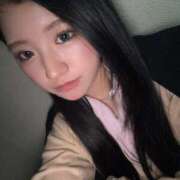 ゆり サンカヨウ ナンバーゼロハチイチ