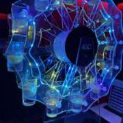 ゆり 胡蝶蘭 ナンバーゼロハチイチ