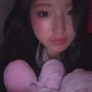 ゆり チューリップ🌷.* ナンバーゼロハチイチ