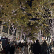 ヒメ日記 2025/12/17 20:40 投稿 ゆな CHANGE THE WEST