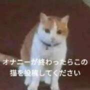 ヒメ日記 2026/01/02 23:57 投稿 パン粉ちゃん Platinum Legend(プラチナムレジェンド)