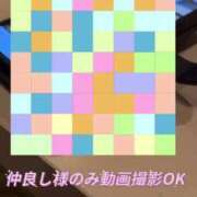 ヒメ日記 2026/01/11 12:07 投稿 パン粉ちゃん Platinum Legend(プラチナムレジェンド)