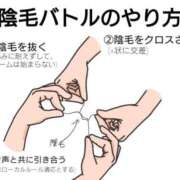 ヒメ日記 2026/01/17 12:08 投稿 パン粉ちゃん Platinum Legend(プラチナムレジェンド)