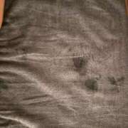 ヒメ日記 2026/01/21 18:07 投稿 パン粉ちゃん Platinum Legend(プラチナムレジェンド)