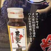 ヒメ日記 2026/01/23 02:47 投稿 パン粉ちゃん Platinum Legend(プラチナムレジェンド)