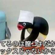 ヒメ日記 2026/01/29 03:17 投稿 パン粉ちゃん Platinum Legend(プラチナムレジェンド)