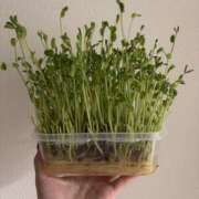 ヒメ日記 2026/03/13 12:07 投稿 パン粉ちゃん Platinum Legend(プラチナムレジェンド)