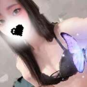 ヒメ日記 2025/12/11 11:48 投稿 とうか奥様 金沢の20代30代40代50代が集う人妻倶楽部