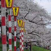 ヒメ日記 2026/04/11 06:57 投稿 ななか 奥様メモリアル