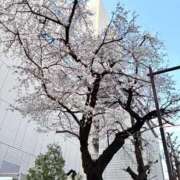 ヒメ日記 2026/03/27 17:06 投稿 れもん ニュー不夜城