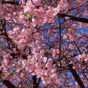 ヒメ日記 2026/02/18 12:59 投稿 くみ 愛媛松山ちゃんこ