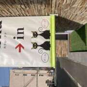 ヒメ日記 2026/03/28 10:59 投稿 くみ 愛媛松山ちゃんこ