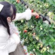 ヒメ日記 2026/03/18 11:34 投稿 峯岸れお HYPER TOKYO