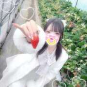 ヒメ日記 2026/03/19 10:44 投稿 峯岸れお HYPER TOKYO