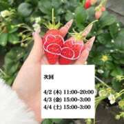 ヒメ日記 2026/04/01 21:19 投稿 峯岸れお HYPER TOKYO