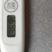 マリア(奥方) 今日も 奥様幕府