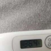 ヒメ日記 2025/12/14 11:27 投稿 マリア(奥方) 奥様幕府