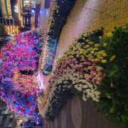 ヒメ日記 2026/04/08 21:02 投稿 ViVi 新橋LOVE LIMIT(ラブリミット)