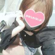 ヒメ日記 2025/12/07 13:03 投稿 ひつじ 奥様メモリアル