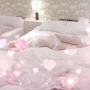 ヒメ日記 2025/12/12 12:12 投稿 ひつじ 奥様メモリアル