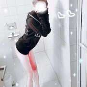 ヒメ日記 2025/12/13 23:03 投稿 ひつじ 奥様メモリアル