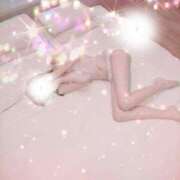 ヒメ日記 2025/12/19 21:03 投稿 ひつじ 奥様メモリアル