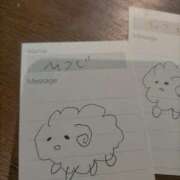 ヒメ日記 2025/12/20 19:18 投稿 ひつじ 奥様メモリアル