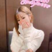 ヒメ日記 2025/12/27 12:03 投稿 ひつじ 奥様メモリアル