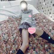 ヒメ日記 2025/12/27 21:03 投稿 ひつじ 奥様メモリアル