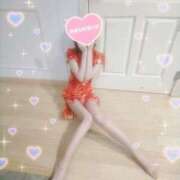 ヒメ日記 2025/12/28 15:03 投稿 ひつじ 奥様メモリアル