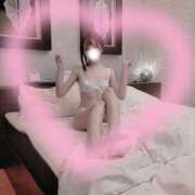 ヒメ日記 2025/12/29 14:48 投稿 ひつじ 奥様メモリアル