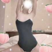 ヒメ日記 2025/12/29 19:03 投稿 ひつじ 奥様メモリアル