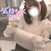 ヒメ日記 2026/01/16 19:03 投稿 ひつじ 奥様メモリアル