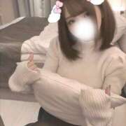 ヒメ日記 2026/01/21 22:03 投稿 ひつじ 奥様メモリアル