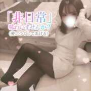 ヒメ日記 2026/01/21 23:03 投稿 ひつじ 奥様メモリアル