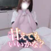 ヒメ日記 2026/01/25 10:57 投稿 ひつじ 奥様メモリアル