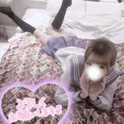 ヒメ日記 2026/02/03 11:18 投稿 ひつじ 奥様メモリアル