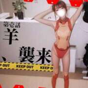 ヒメ日記 2026/02/12 19:51 投稿 ひつじ 奥様メモリアル