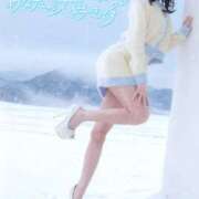 ヒメ日記 2026/02/15 14:18 投稿 ひつじ 奥様メモリアル