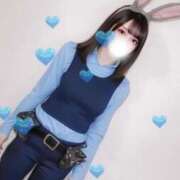 ひつじ ありがトンコツー🐑❤️ 奥様メモリアル